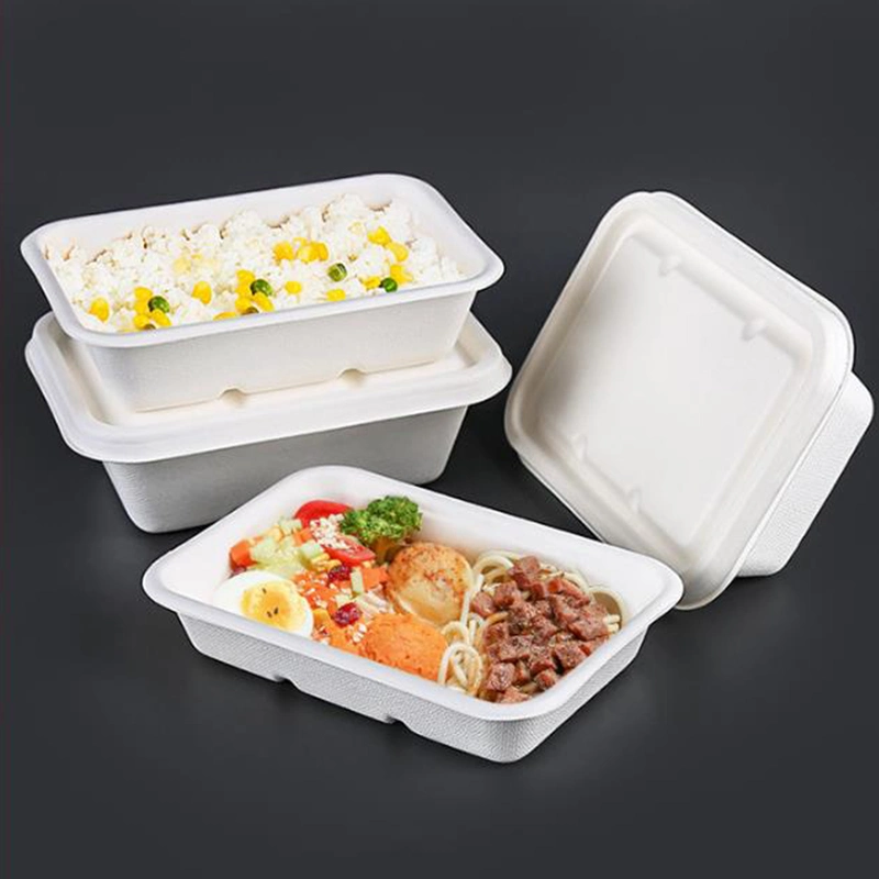 Sugarcane (Bamboo Fiber pulp)